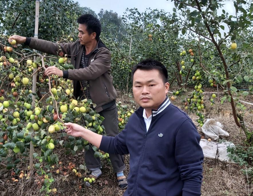 高州荷花绽放，美好时光共赏