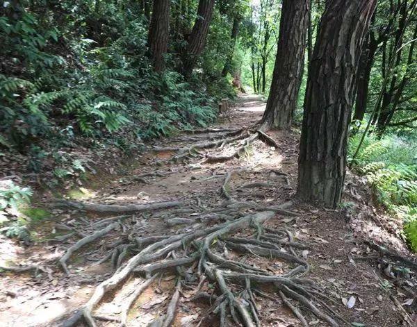 南陵何湾美好瞬间，最新风采图集展现活力风采