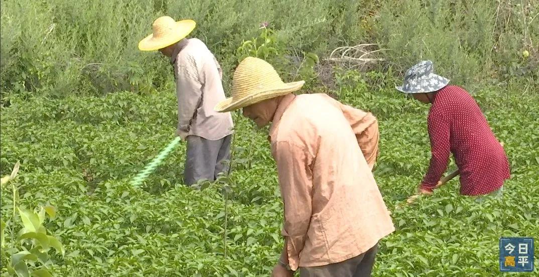 高平凯永融资项目最新进展揭秘！