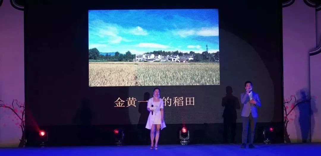 白百色倾情呈现：最新创意视频震撼上线！