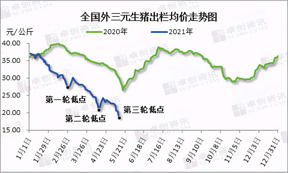 泗县生猪市场最新行情速览：生猪价格实时动态解析