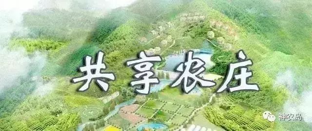 乡村振兴新风口：揭秘农村创业领域的热门项目趋势