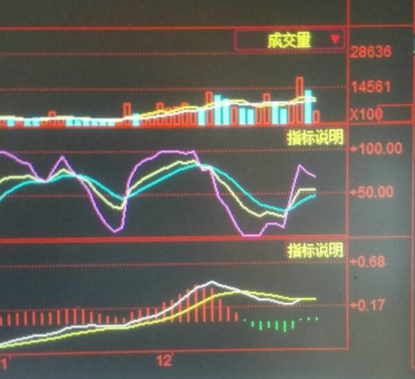 600005股票实时行情：最新价格解析与动态更新