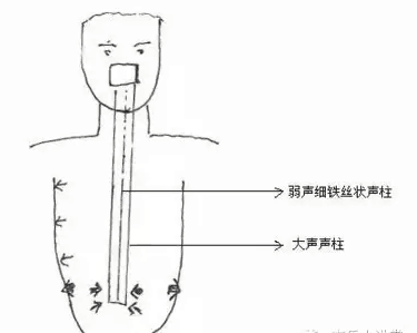 创新速成！揭秘高效绑鱼钩的独家技巧