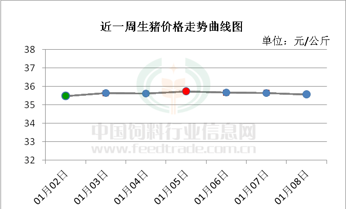 生猪期货市场最新动态及上市进展资讯